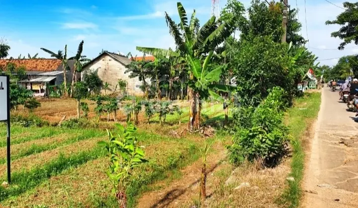 Dijual Murah Tanah di Jalan Raya Babelan Bekasi Jawa Barat