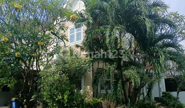 Rumah Murah 2 Lantai Hook Minimalis Semi Furnished Siap Huni Dekat Pasar Modern Di Alam Hijau Citraland Utama Surabaya Barat