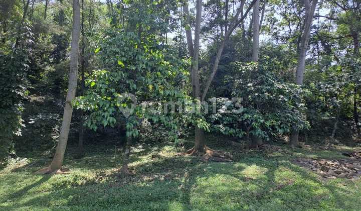 Kavling Di Jalan Utama Sentul City Lokasi Strategis Siap Pakai