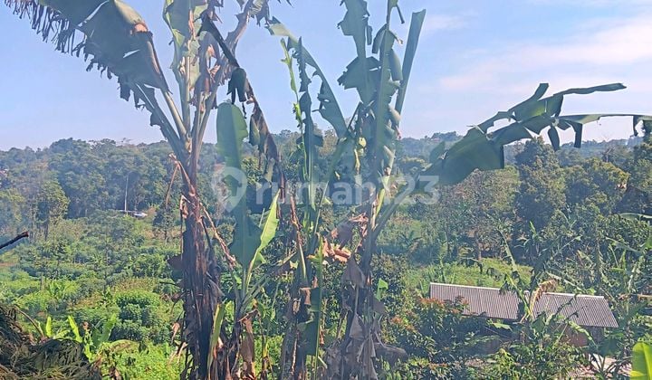 Dijual Tanah Kebun Luas 4.2 Ha. Sindanglaya. Arcamanik. Kab Bandung. Cocok Untuk Perumahan. Pesantren. Ada View Kota Bandung