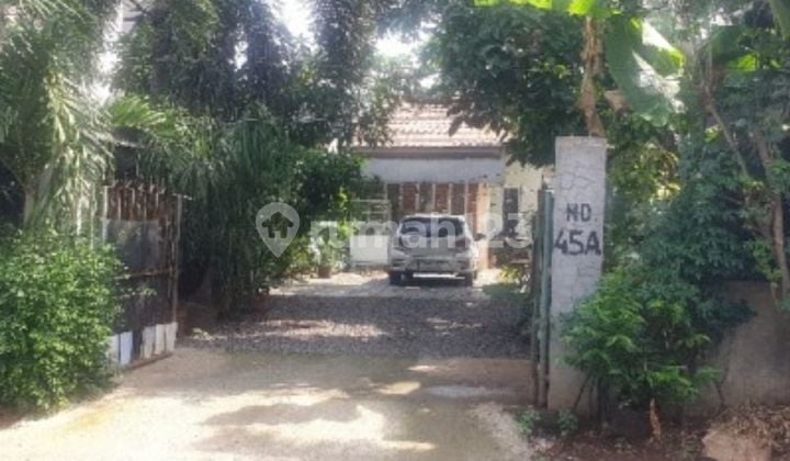 Dijual Cepat Rumah Murah Bawah NJOP SHM di Kelurahan Munjul Cipayung Jakarta Timur