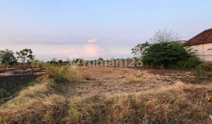 Di Jual Lahan Zona Kuning Lokasi Cerme Gresik