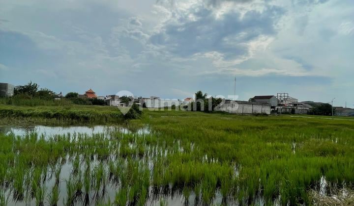 Di Jual Lahan bisa di Buat Perusahaan ( Zona Kuning)