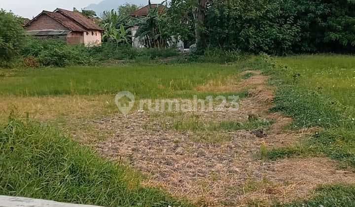 Di Jual Tanah Pekarangan Singopadu Tulangan