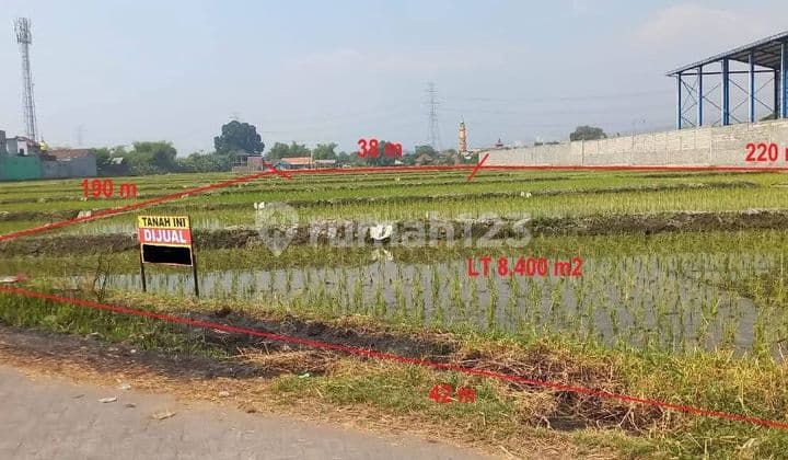 Di Lahan Industri Lok Gempol Pasuruan
