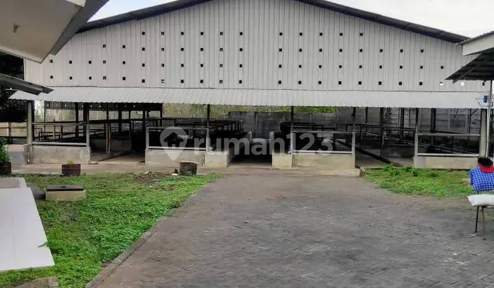 Di Jual Gudang Ex Kandang Sapi Siap Operasi