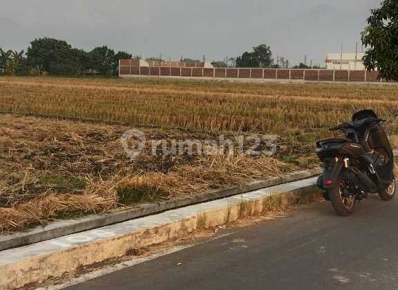 Dijual Lahan 0 Jln Aspal Lok Magersari Mojokerto