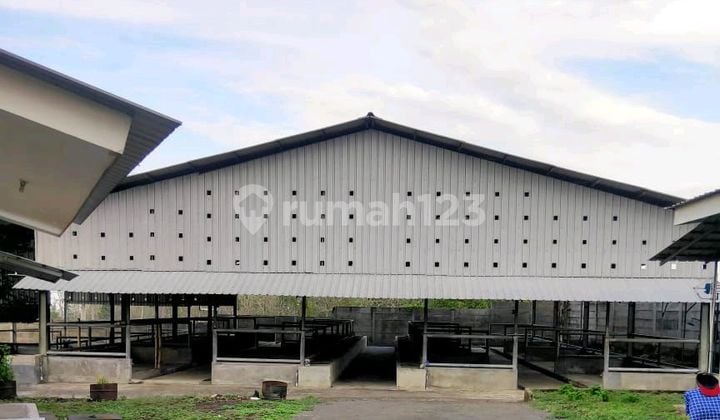 Di Jual Gudang Eks Kandang Sapi Pasuruan Di Jual Gudang Eks Kandang Sapi Pasuruan