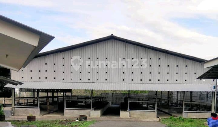 Di Jual Gudang Eks Kandang Sapi Pasuruan