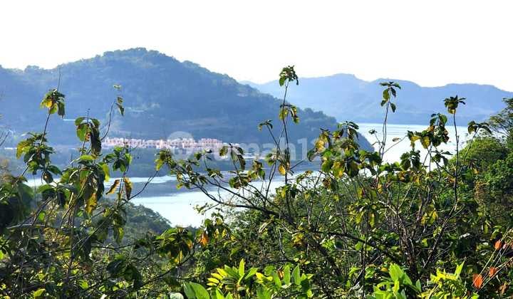 Kavling Bagus Strategis @ Jl Pelabuhan Rangko Labuan Bajo N T Tt