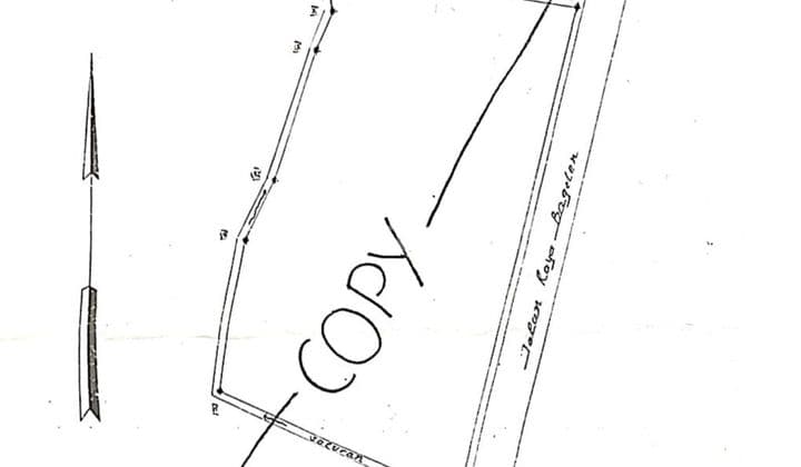 Sawah Productive @desa Bagelen, Gedung Tataan Pesaweran Lampung