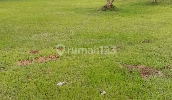 Jual Tanah Asri Hadap Pantai Tanjung Lesung Dekat Hotel, Villa HGB Pemandangan Elok dan Udara Sejuk Cocok untuk Investasi. Hubungi Kami untuk Nego!!!