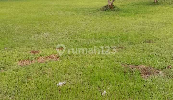 Jual Tanah Asri Hadap Pantai Tanjung Lesung Dekat Hotel, Villa HGB Pemandangan Elok dan Udara Sejuk Cocok untuk Investasi. Hubungi Kami untuk Nego!!!