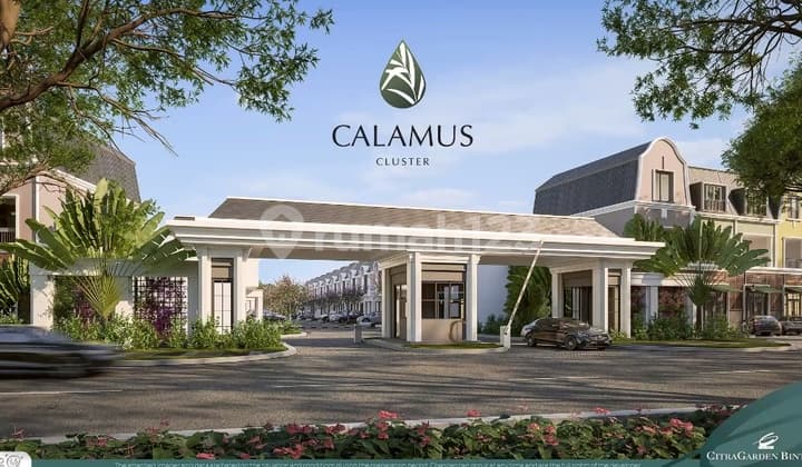 Cluster Calamus Bintaro