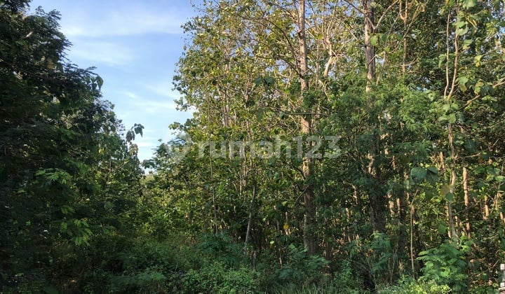 Tanah Sambi Dekat Bandara
