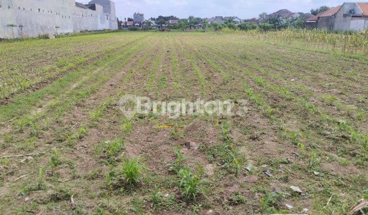 TANAH FOR PERUMAHAN DEKAT BANDARA