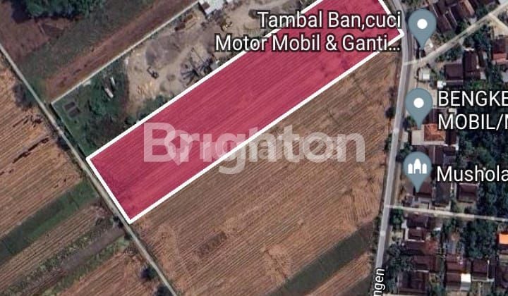 RED ZONE LAND / SRAGEN INDUSTRIAL