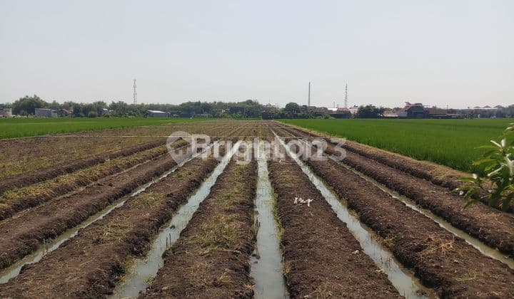 WAREHOUSE HOUSING LAND TELUKAN SOLO BARU