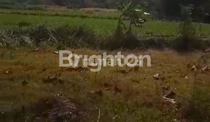 TANAH MURAH MERIAH BOYOLALI