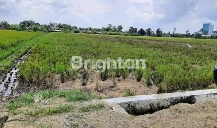 TANAH PEKARANGAN MENGHADAP JALAN UTAMA MOJOLABAN