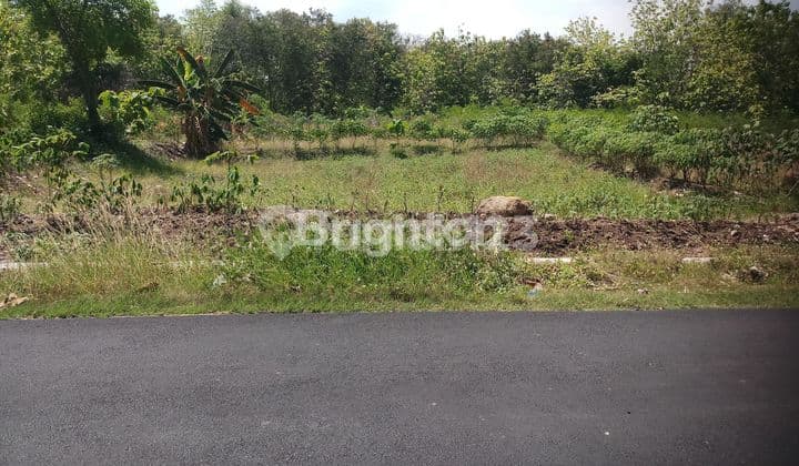 TANAH SIAP BANGUN PERUMAHAN DAN GUDANG