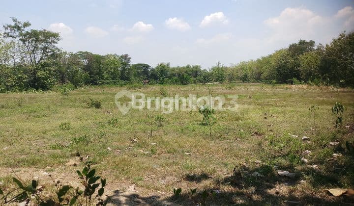 TANAH SUPER SUPER MURAH