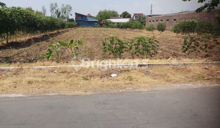 TANAH PEKARANG DEPAN HOTEL LOR IN