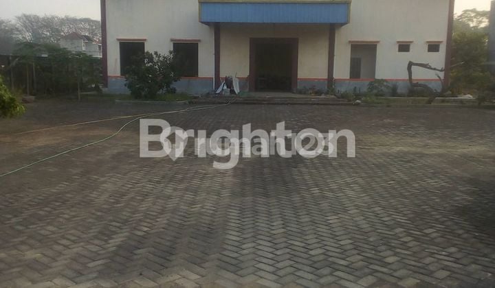 TANAH CEPAT BONUS GUDANG BANGUNAN KOKOH NGEMPLAK