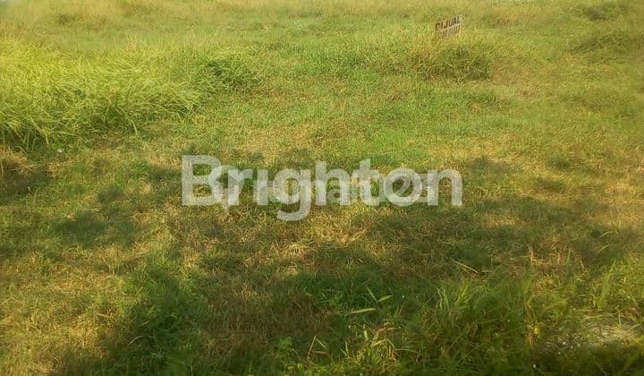 TANAH MURAH KERING SIAP BANGUN