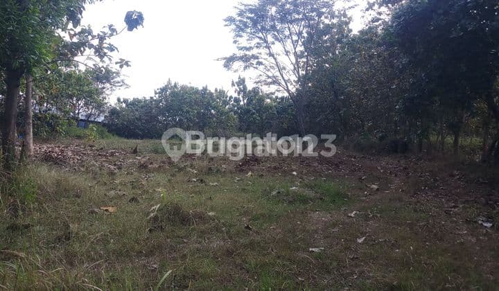 TANAH KERING SIAP BANGUN DISRAGEN