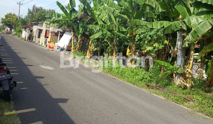 TANAH MURAH NUSUKAN TANAH MURAH NUSUKAN