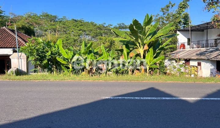 LAND ON MAIN ROAD GOOD FOR BUSINESS