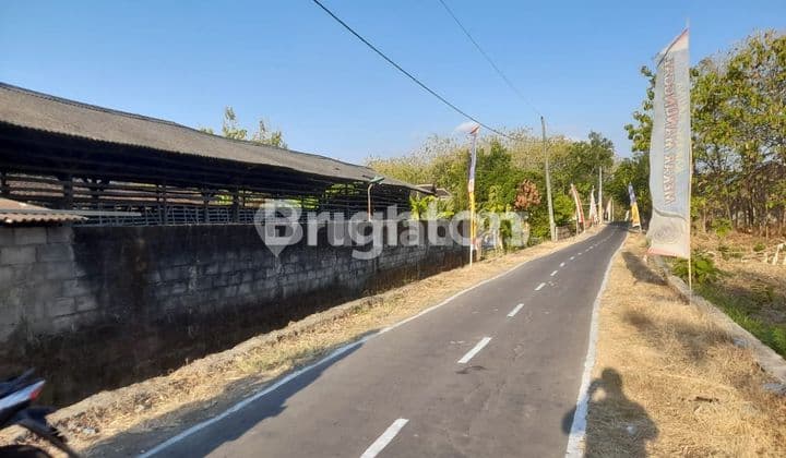 TANAH MURAAH SIAP BANGUN DEKAT KAMPUS UNISRI / PALANGJOGLO