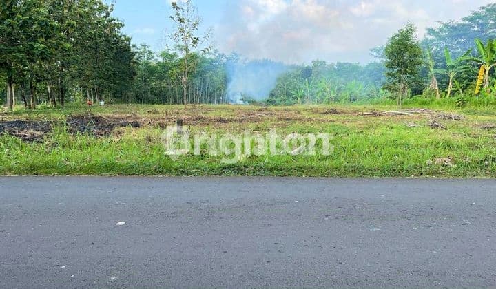 TANAH MUUURAHH SIAP BANGUN KARANGANYAR