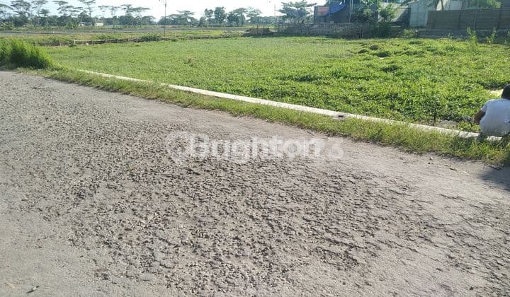 Tanah Pingin Cepat Jadi Uang!!