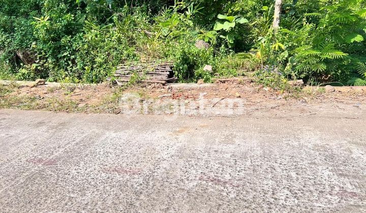 TANAH LUAS MUURAH CEPAT