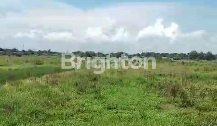 TANAH KERING SIAP BANGUN BAKI SOLO BARU