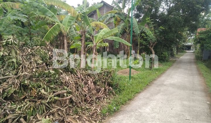 TANAH GAGAKSIPAT NGEMPLAK BOYOLALI