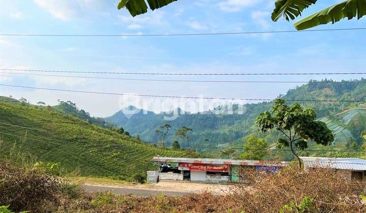 TANAH UNTUK VILLA KEMUNING