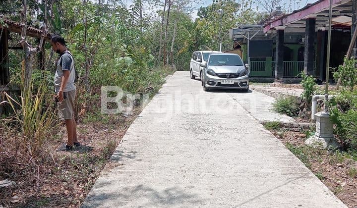 TANAH PEKARANGAN SUPER MURAH BANYUDONO BOYOLALI