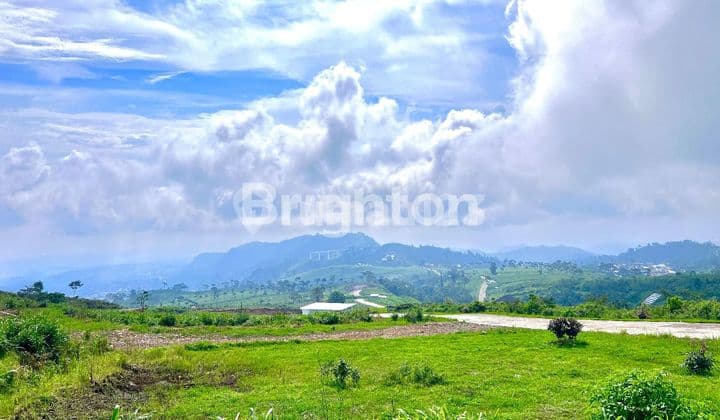 TANAH SIAP BANGUN VILLA VIEW JEMBATAN KACA DAN KEBUN TEH