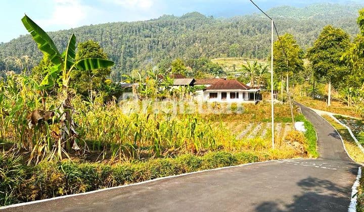 TANAH KEMUNING TAWANGMANGU THE BEST CHOICE UNTUK VILA