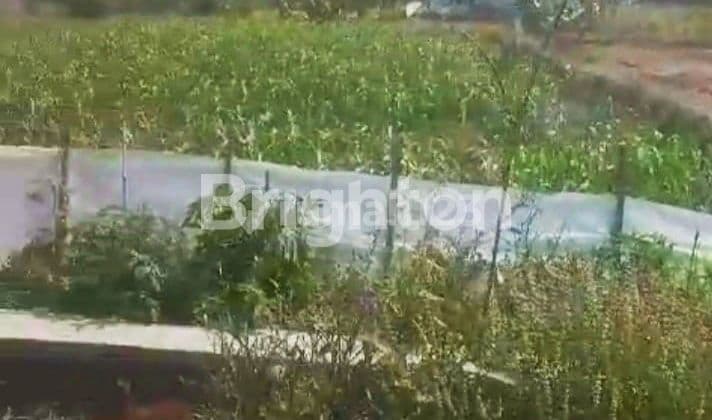 Tanah Zona Kuning Klaten