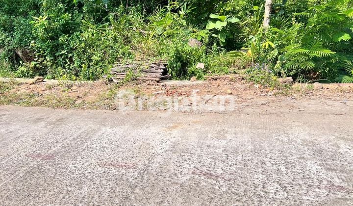 WIDE LAND CHEAP SELL FAST