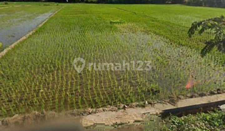 Tanah Murah Jaten Karanganyar