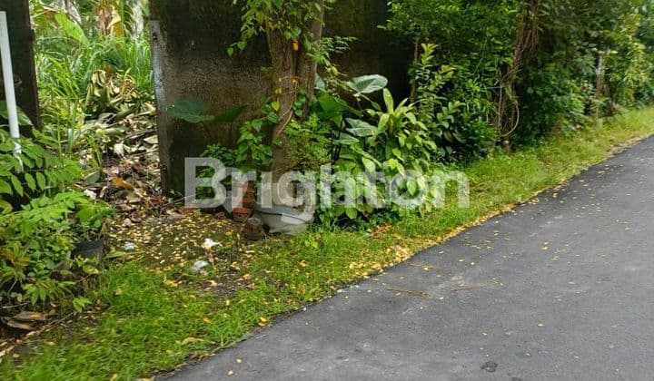 TANAH DEPAN KAMPUS UMS KARANGASEM