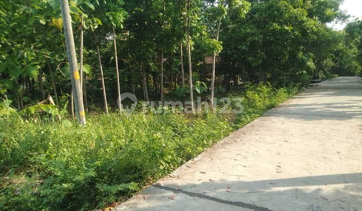 Rumah Siap Bangun Samping Rumah Sakit Banyubening