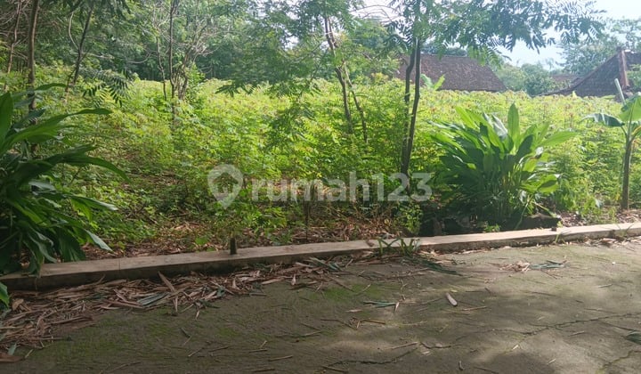 Tanah Murah Sambi Boyolali