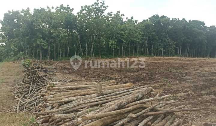 Sukoharjo Industrial Red Zone Land