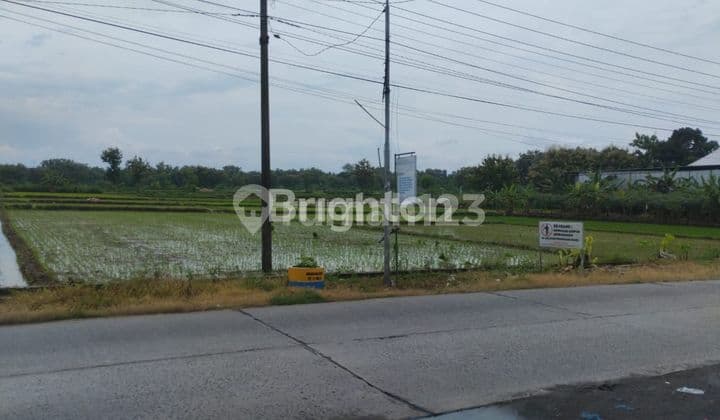TANAH KERING DEKAT BANDARA
